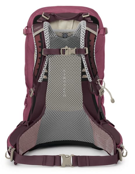 Sirrus 34 Elderberry Purple/Chiru Tan, view: 3