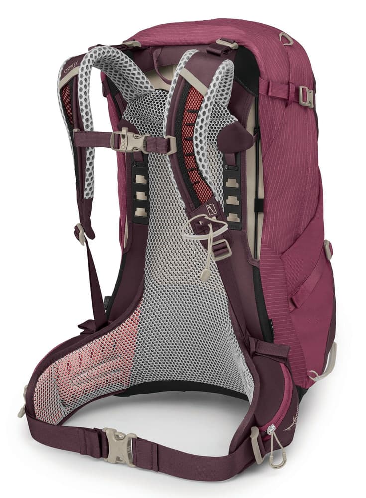 Sirrus 34 Elderberry Purple/Chiru Tan, view: 2