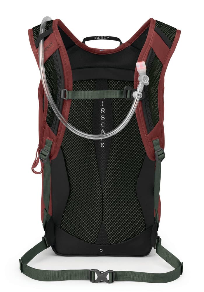 Sportlite 20 Acorn/Bonsai, view: 2