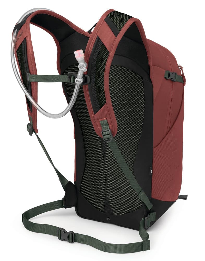 Sportlite 20 Acorn/Bonsai, view: 1