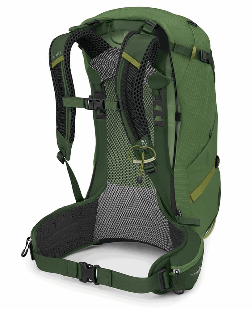 Stratos 34 Seaweed/Matcha Green, view: 2