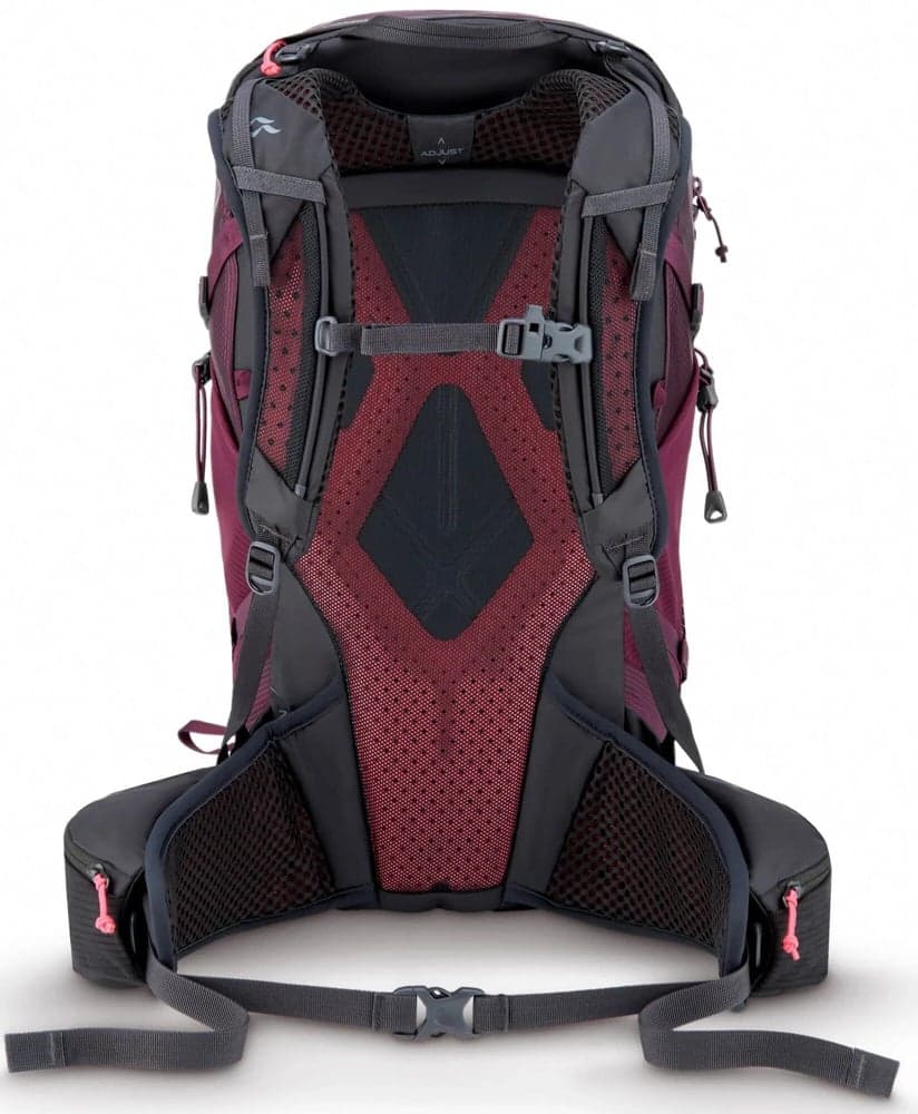 Protium 25 ND Mulberry, view: 2