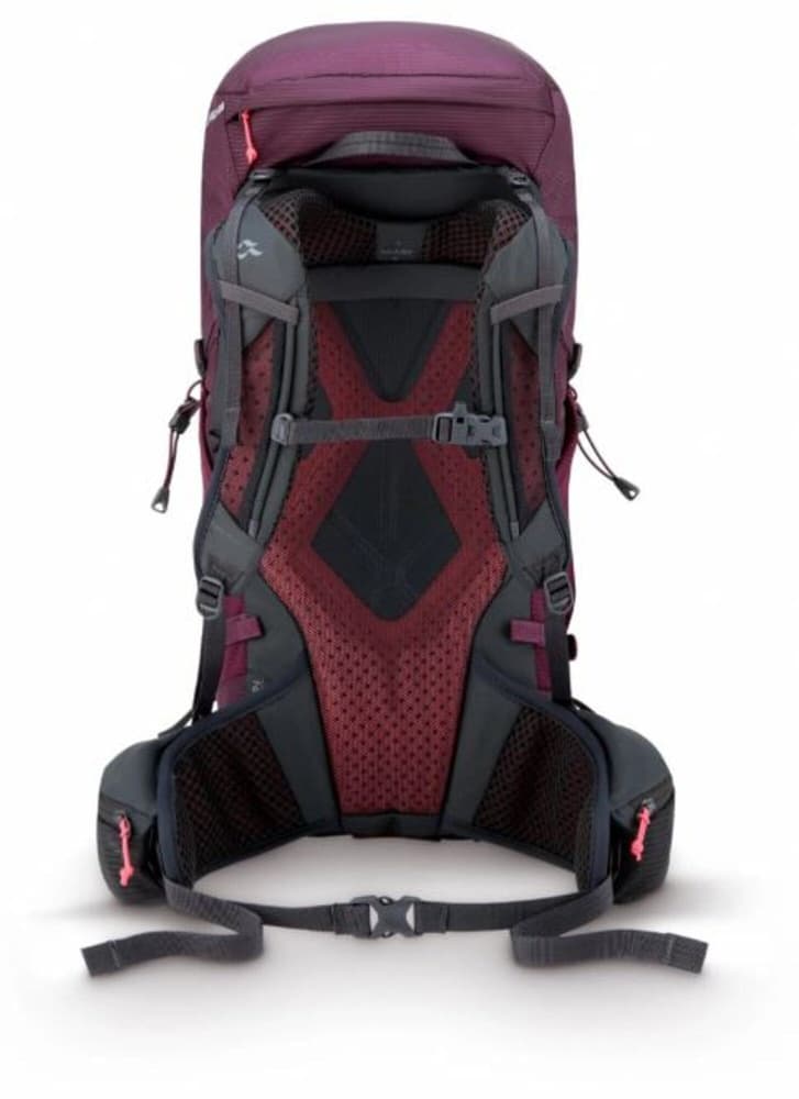 Protium 33 ND Mulberry, view: 2