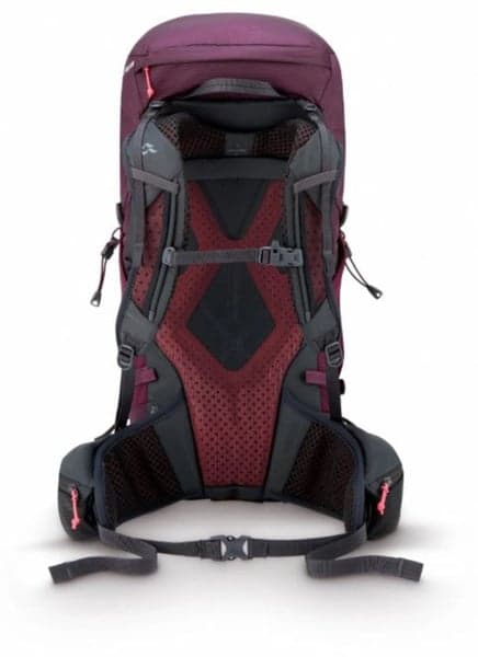 Protium 33 ND Mulberry, view: 2