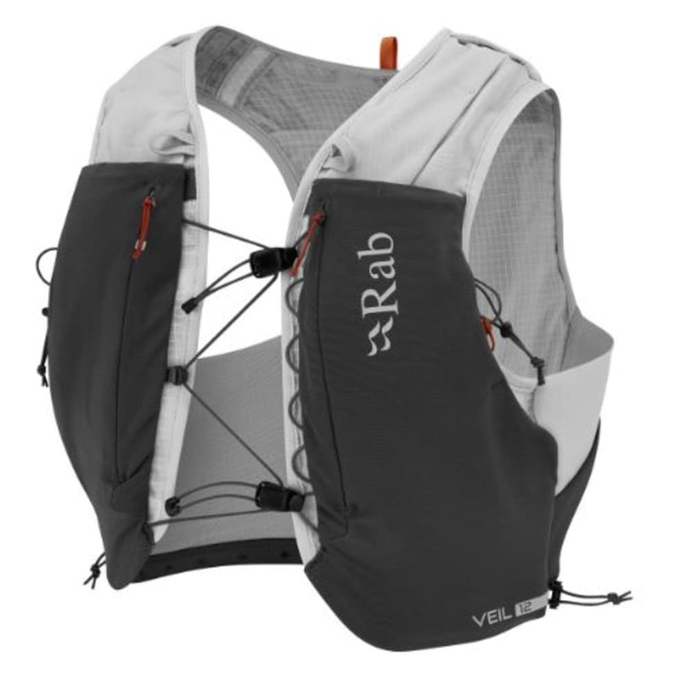 Veil 12 Gargoyle/Graphene, view: 1