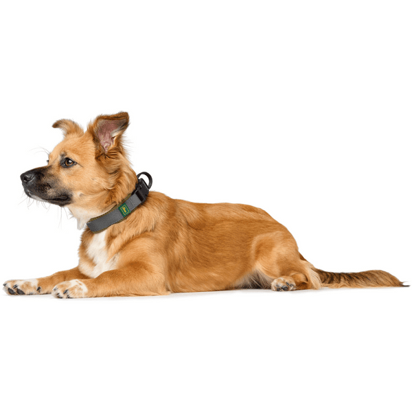 Collar Maldon 35-45/M Olive Green/Grey, view: 3