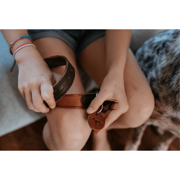 Collar Lemvig 40/S Leather Cognac/Olive Green, view: 5