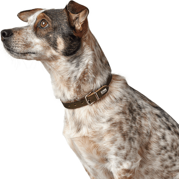 Collar Aalborg 60/L Leather Olive Green, view: 3