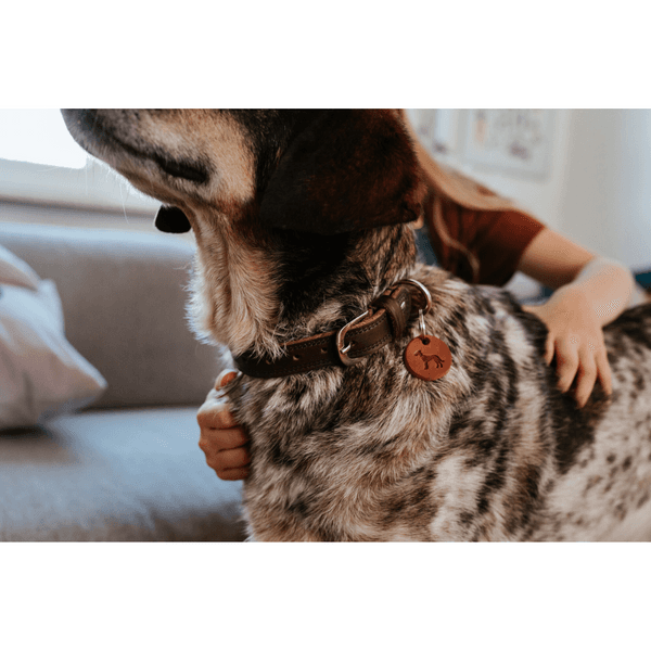 Collar Lemvig 60/M-L Leather Cognac/Olive Green, view: 4