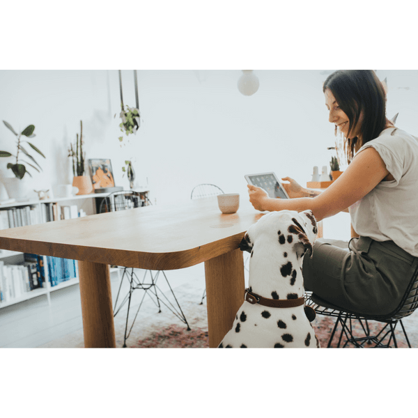 Collar Aalborg 32/XS Leather Cognac, view: 3