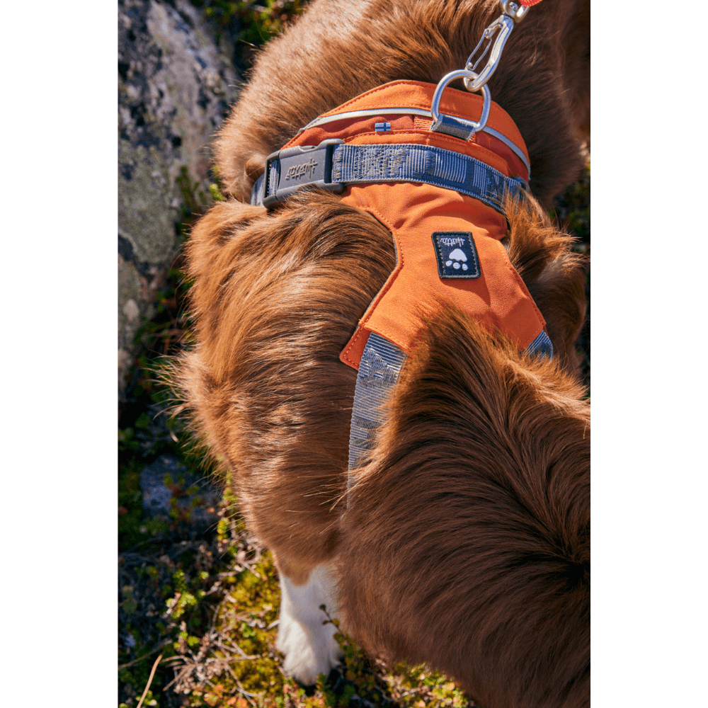 Rover Harness 45-70 cm Cinnamon, view: 1