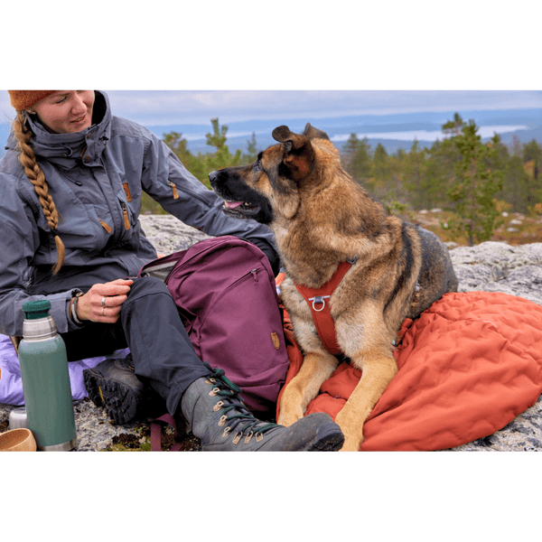 Sleepover Sleeping Bag L Cinnamon, view: 4