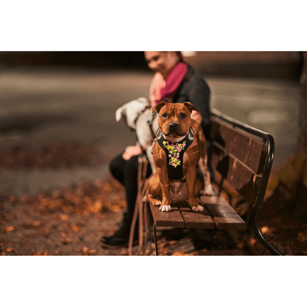 Weekend Warrior Neon Harness II 55-100 cm Licorice, view: 5