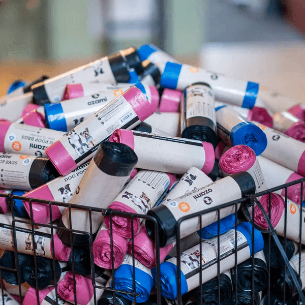 Dog Poop Bag with Handle Black 130x340 mm, view: 2