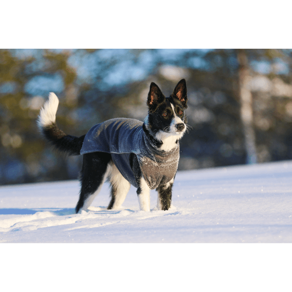 Jumppa 70-75 cm Graphite, view: 1