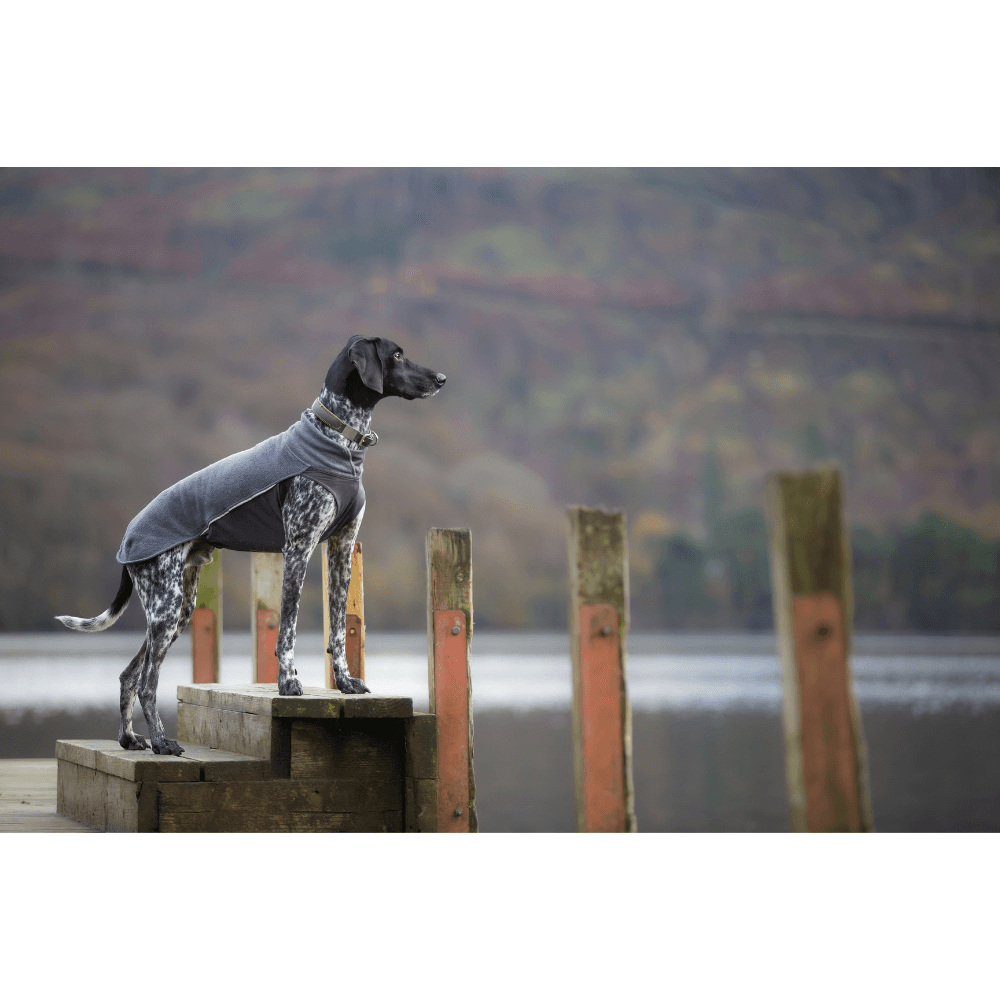 Jumppa 70-75 cm Graphite, view: 3