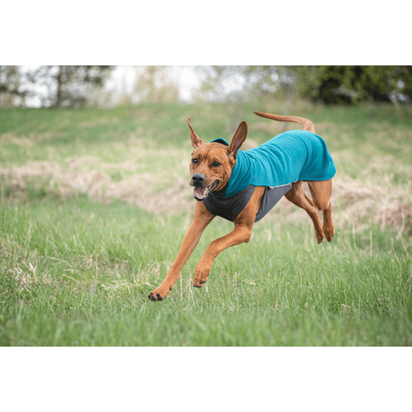 Jumppa 70-75 cm Forest, view: 2