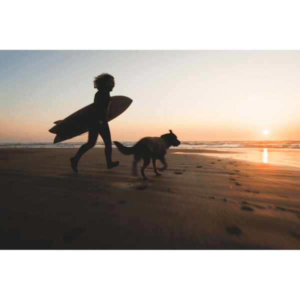 Climate Changer Fleece Vest Cedar Green, view: 9