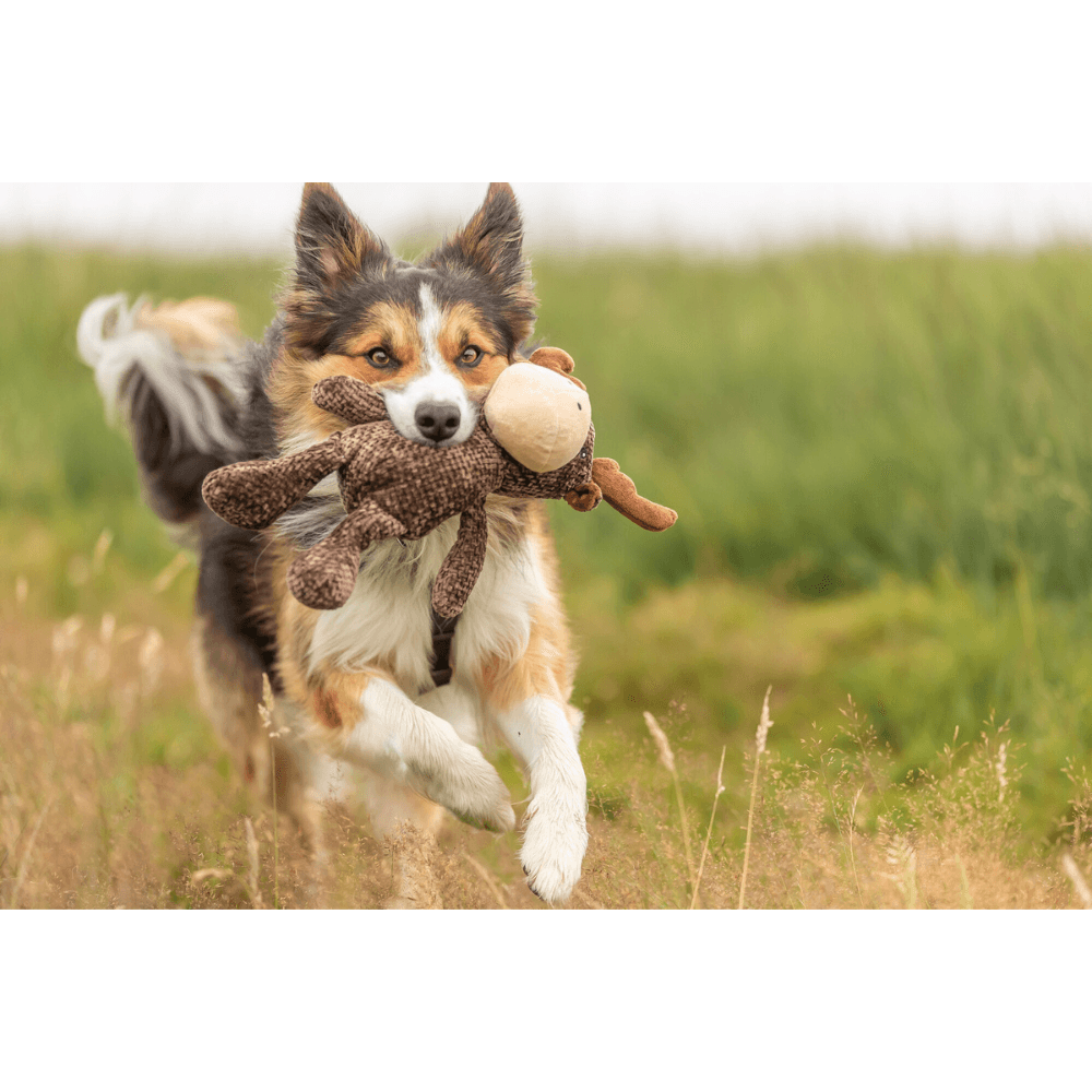 Älg Plysch 36 cm, view: 2