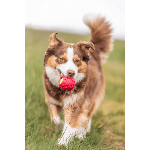 Tennisboll i Däck Naturgummi Ø 7,5 cm, view: 3
