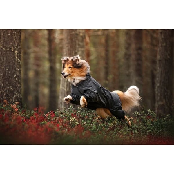 Flash Overall 35-45 cm Gray, view: 6