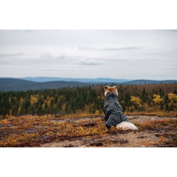 Flash Overall 35-45 cm Gray, view: 7