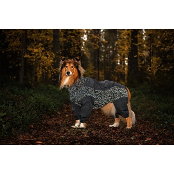 Flash Overall 50-55 cm Gray, view: 5