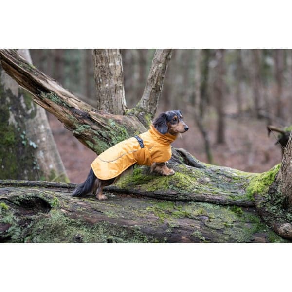 Stormy Coat 25-30 cm Honey, view: 3