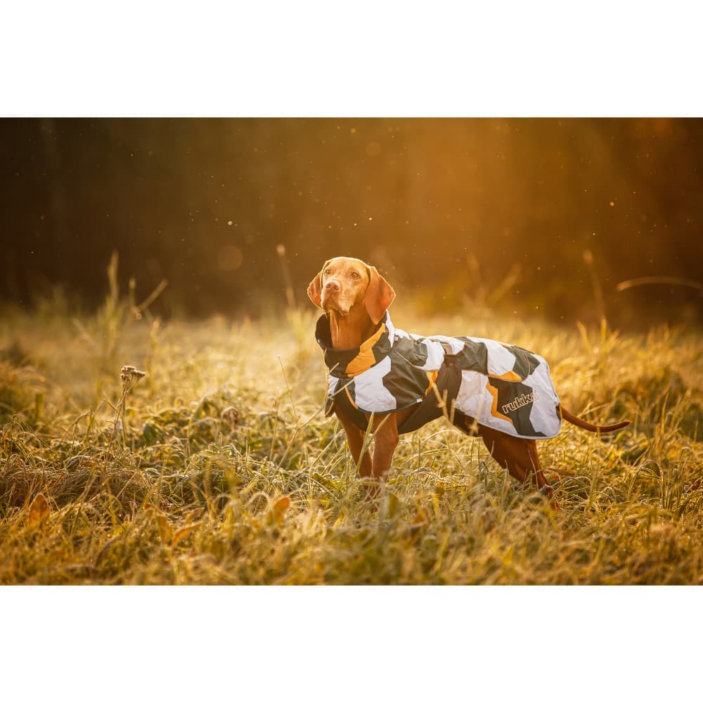 Stormy Coat 50-55 cm Green Mix, view: 5