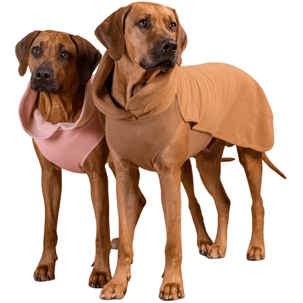 Seawool Shirt 25-30 cm Brown, view: 3