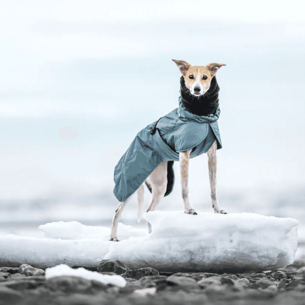 Plush Tube Scarf M Black, view: 1