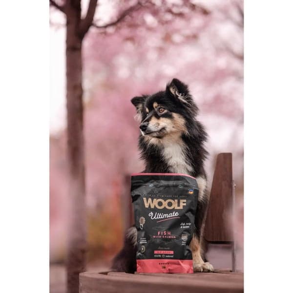 Ultimate Dogfood - Fish With Salmon, view: 1