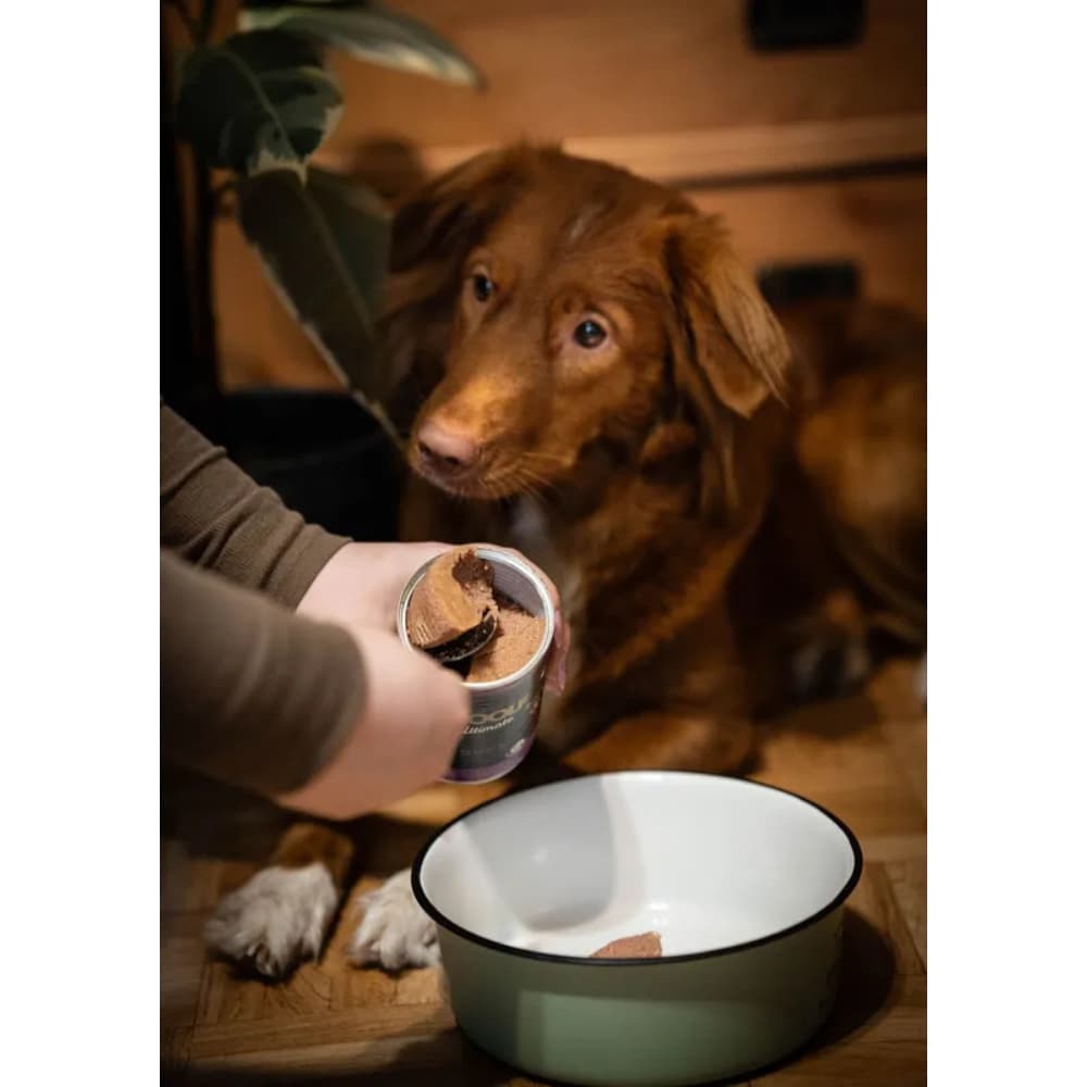 Ultimate Canned Dogfood - Turkey With Thyme, view: 2