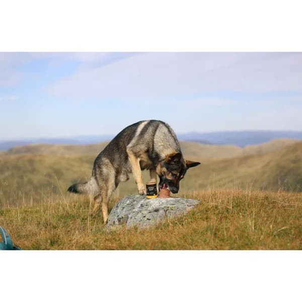 Ultimate Canned Dogfood - Lamb With Rosemary, view: 3