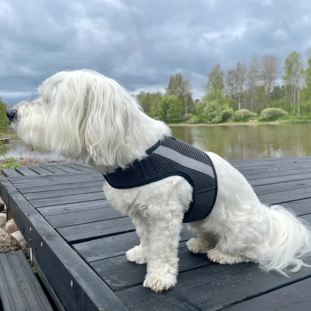 Reflexväst Glow Svart, view: 3