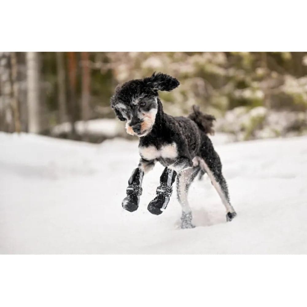 Hundsko Halla Softshell 4 Pack Svart, view: 5