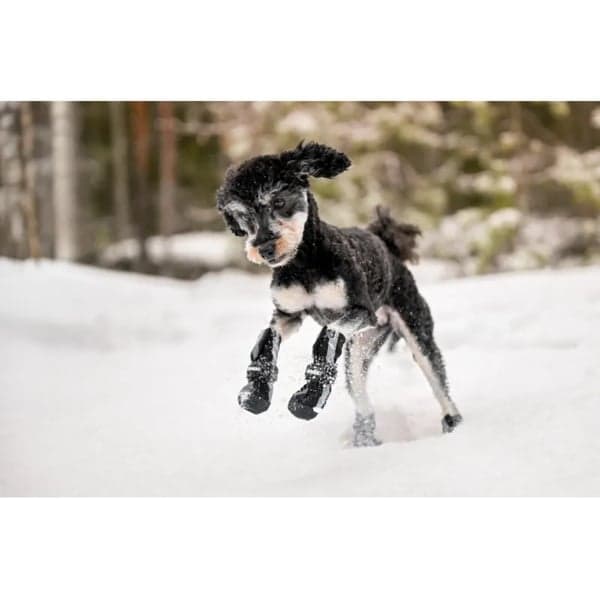 Hundsko Halla Softshell 4 Pack Svart, view: 5