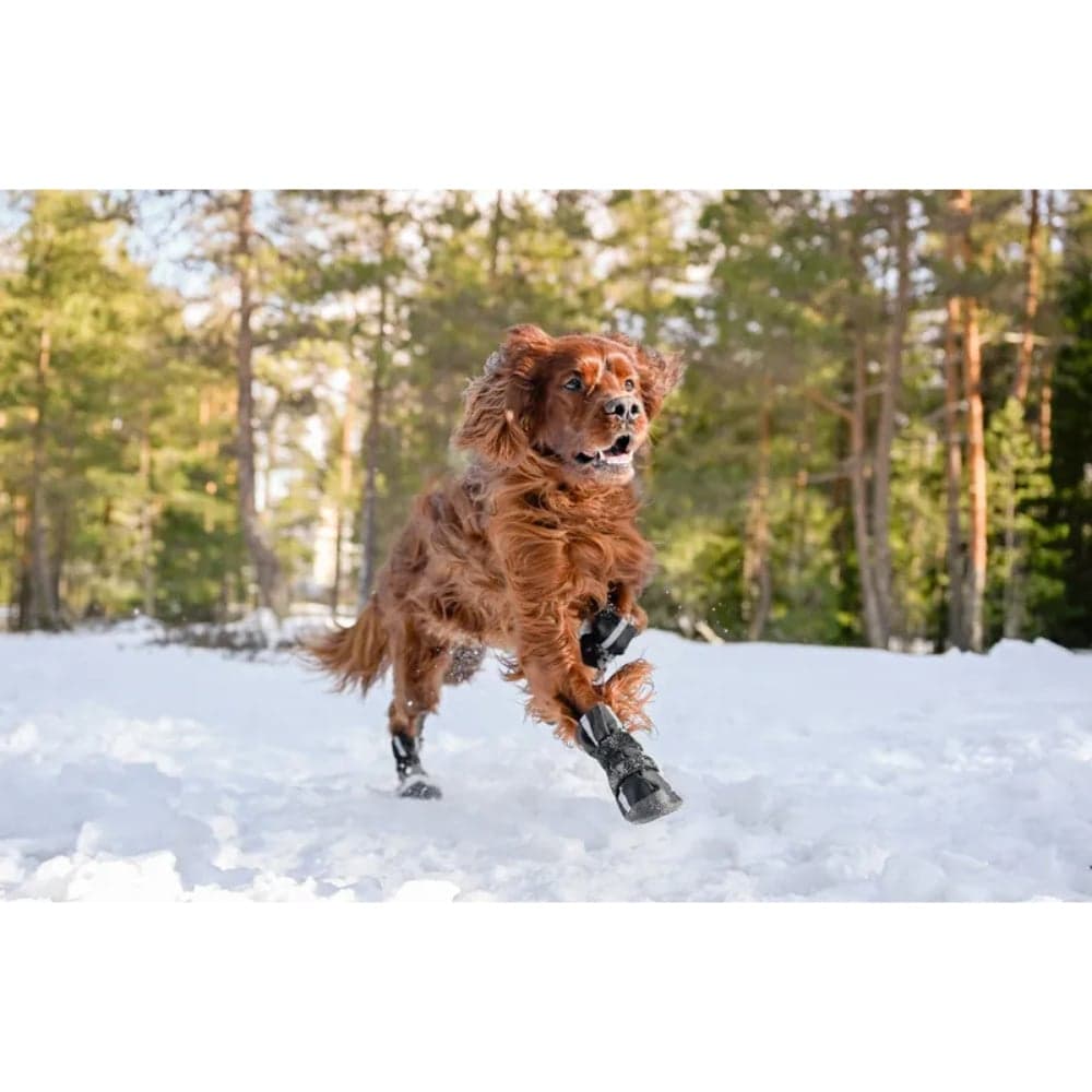 Hundsko Halla Softshell 4 Pack Svart, view: 4