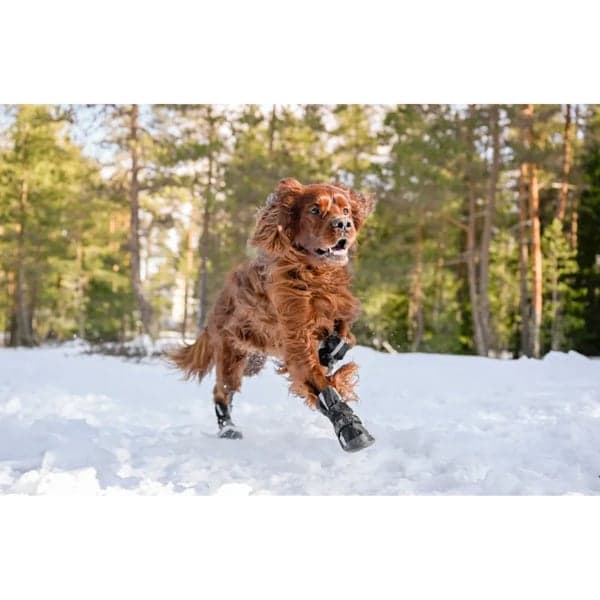 Hundsko Halla Softshell 4 Pack Svart, view: 4