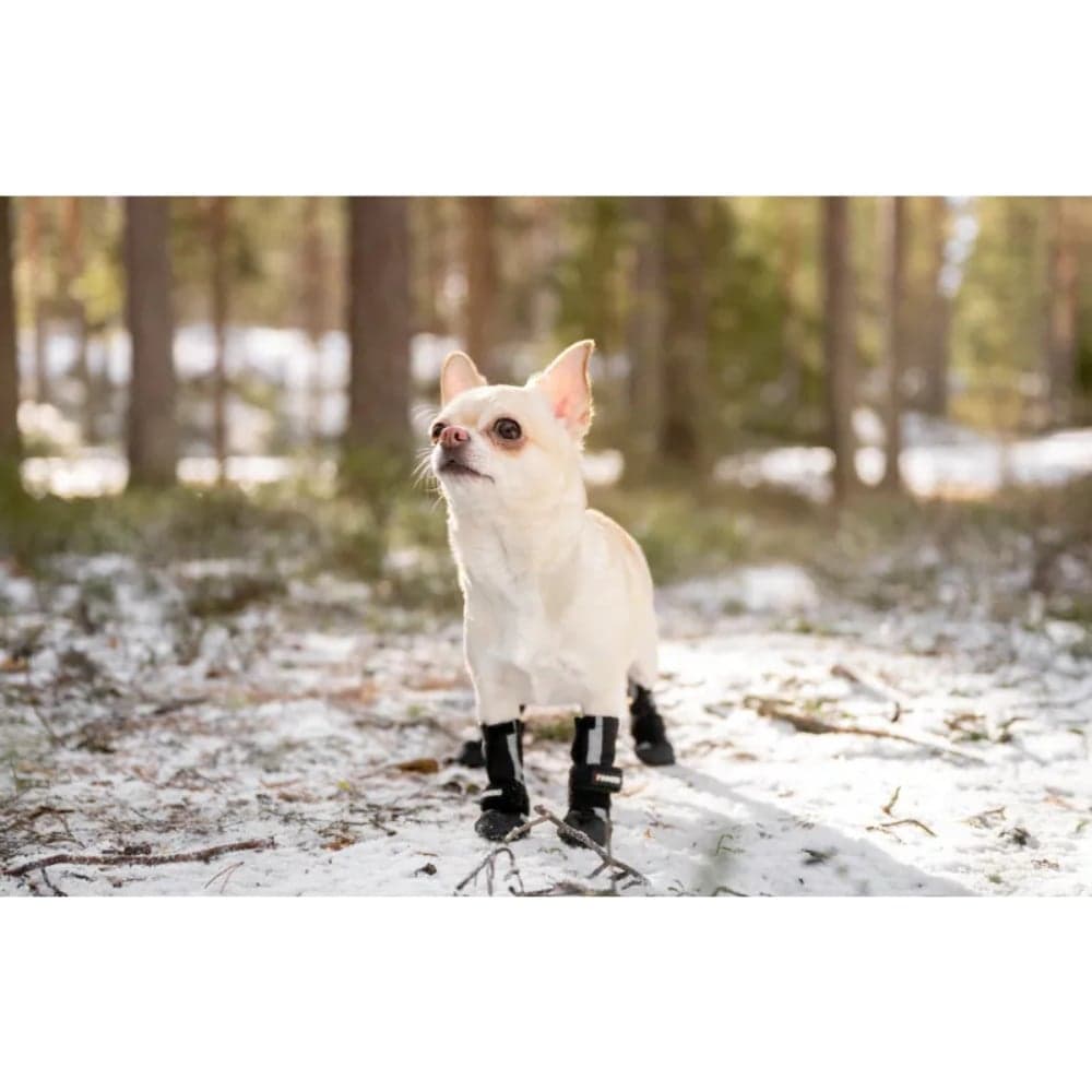 Hundsko Halla Softshell 4 Pack Svart, view: 6