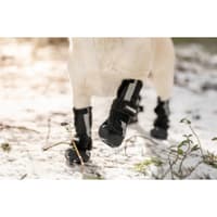 Hundsko Halla Softshell 4 Pack Svart - view: 1