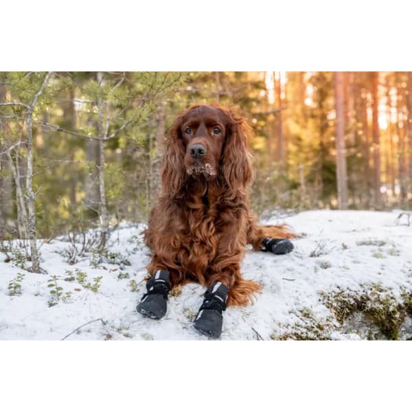 Hundsko Halla Softshell 4 Pack Svart, view: 3