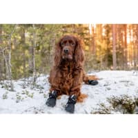 Hundsko Halla Softshell 4 Pack Svart - view: 3