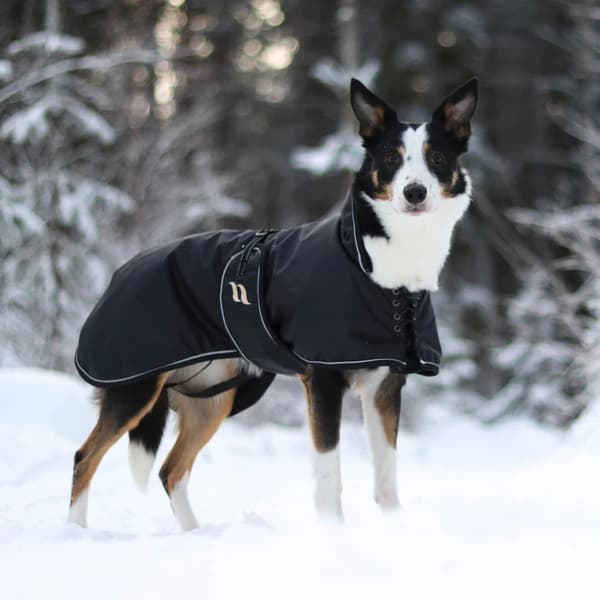 Hundtäcke Sunny Fodrat 40-50 cm Svart, view: 1