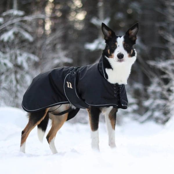 Hundtäcke Sunny Fodrat 55-65 cm Svart, view: 1