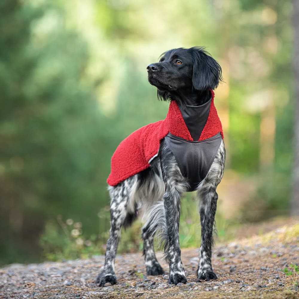 PolarPomppa 60 - 65 cm Rowanberry, view: 1