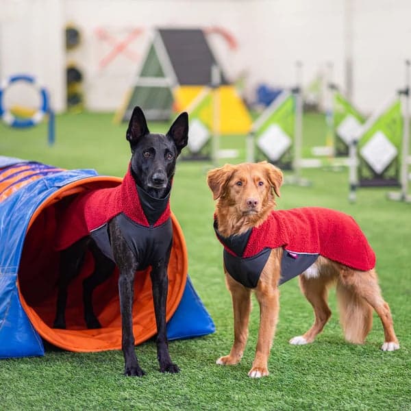 PolarPomppa 70 - 75 cm Rowanberry, view: 4