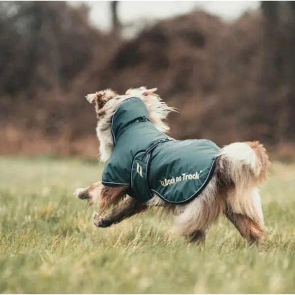 Hundtäcke Sunny Fodrat 85 cm Grön, view: 1