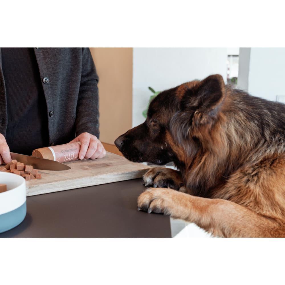 Feast Foderkorv till hund 350 g Oxe, view: 3