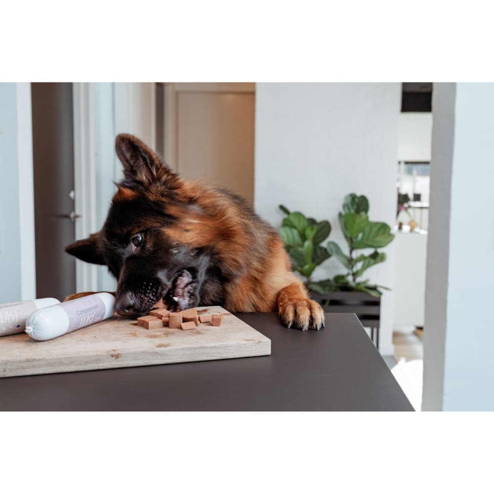 Feast Foderkorv till hund 350 g Oxe, view: 4